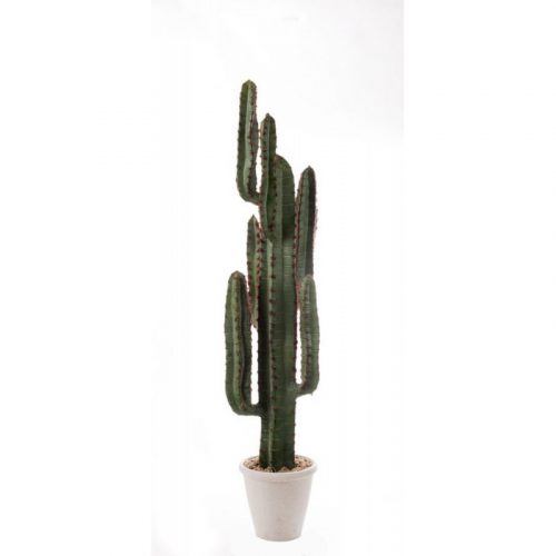 Pianta artificiale cactus per interni L'oca nera
