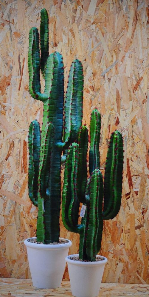 Pianta artificiale cactus per interni L'oca nera effetto vero